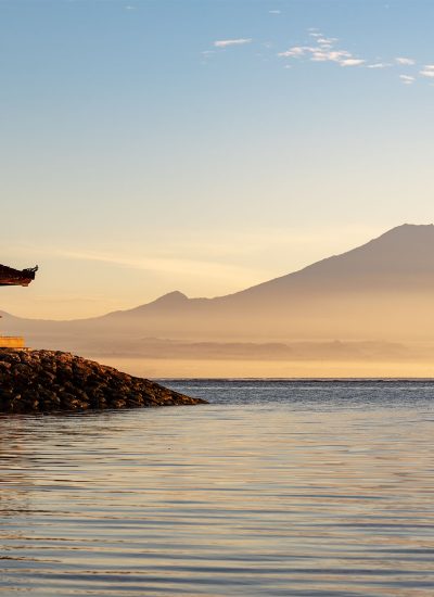 <p><a href="https://alternativevilla.com/listing?by_city=Sanur">SANUR<br>3 Properties</a></p>