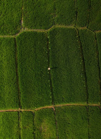 <p><a href="https://alternativevilla.com/listing?by_city=Umalas">UMALAS<br>2 Properties</a></p>